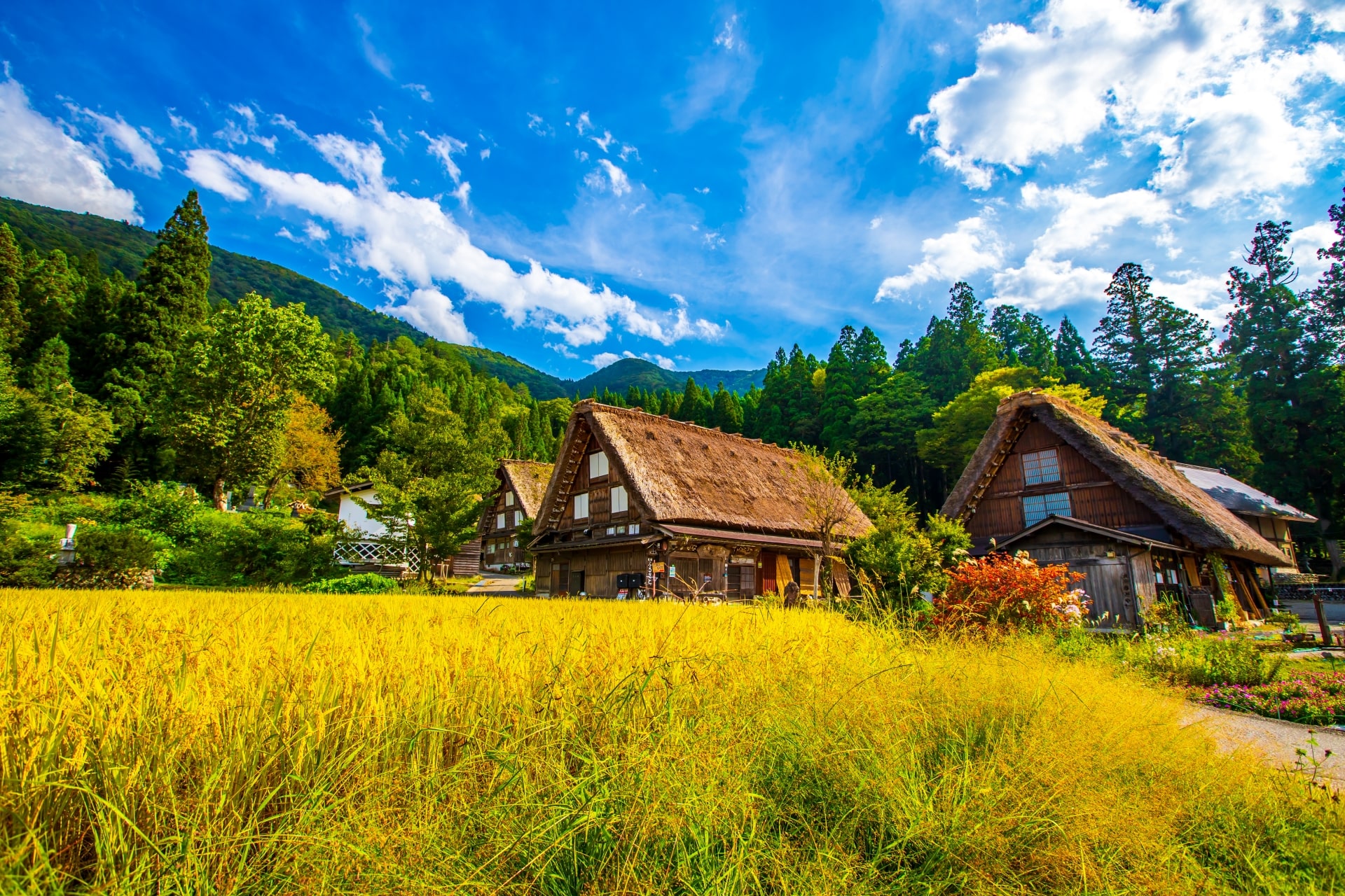 岐阜県でタクシー需要のある人気エリア