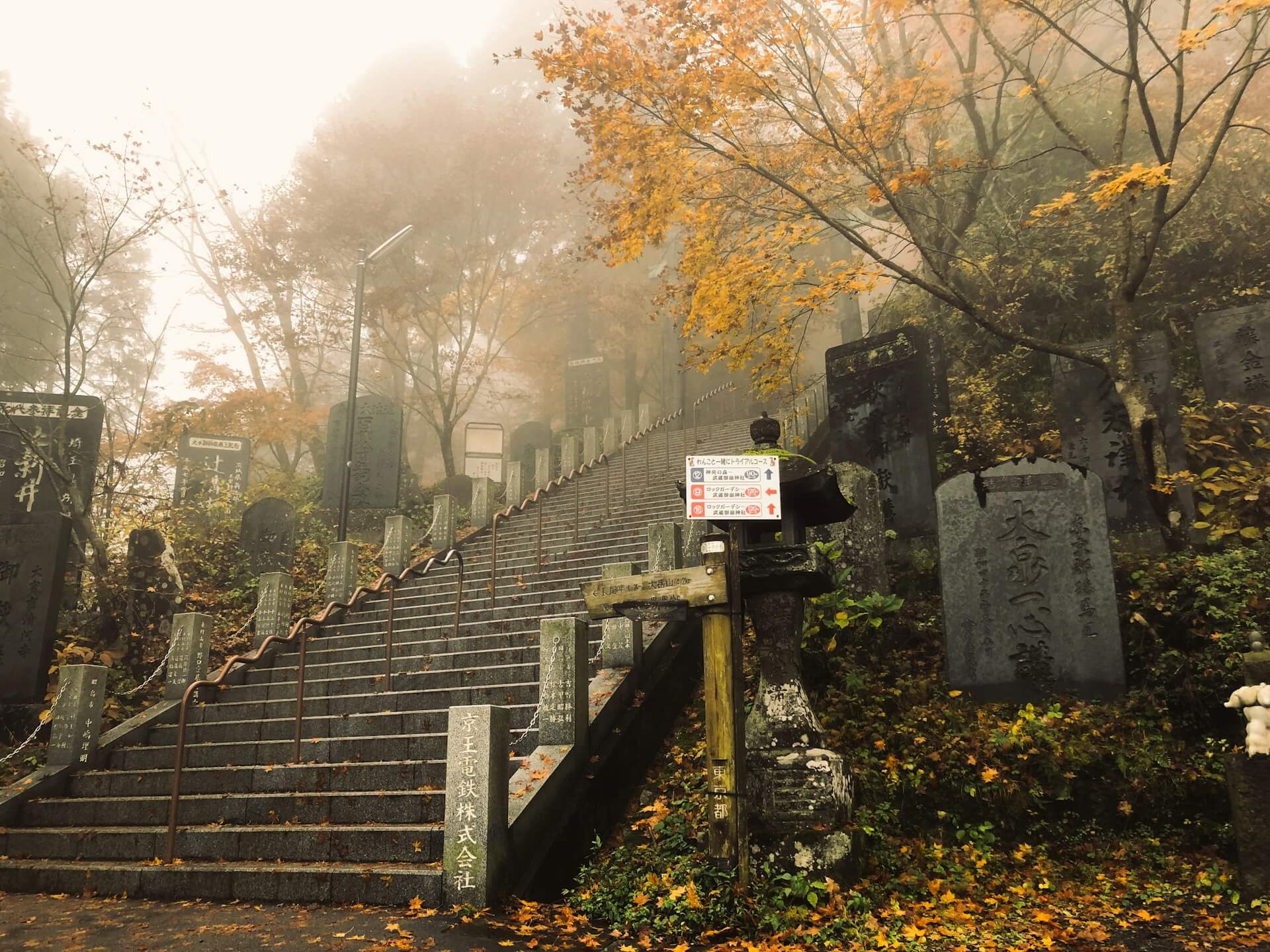 青梅市でタクシー利用が多い場所