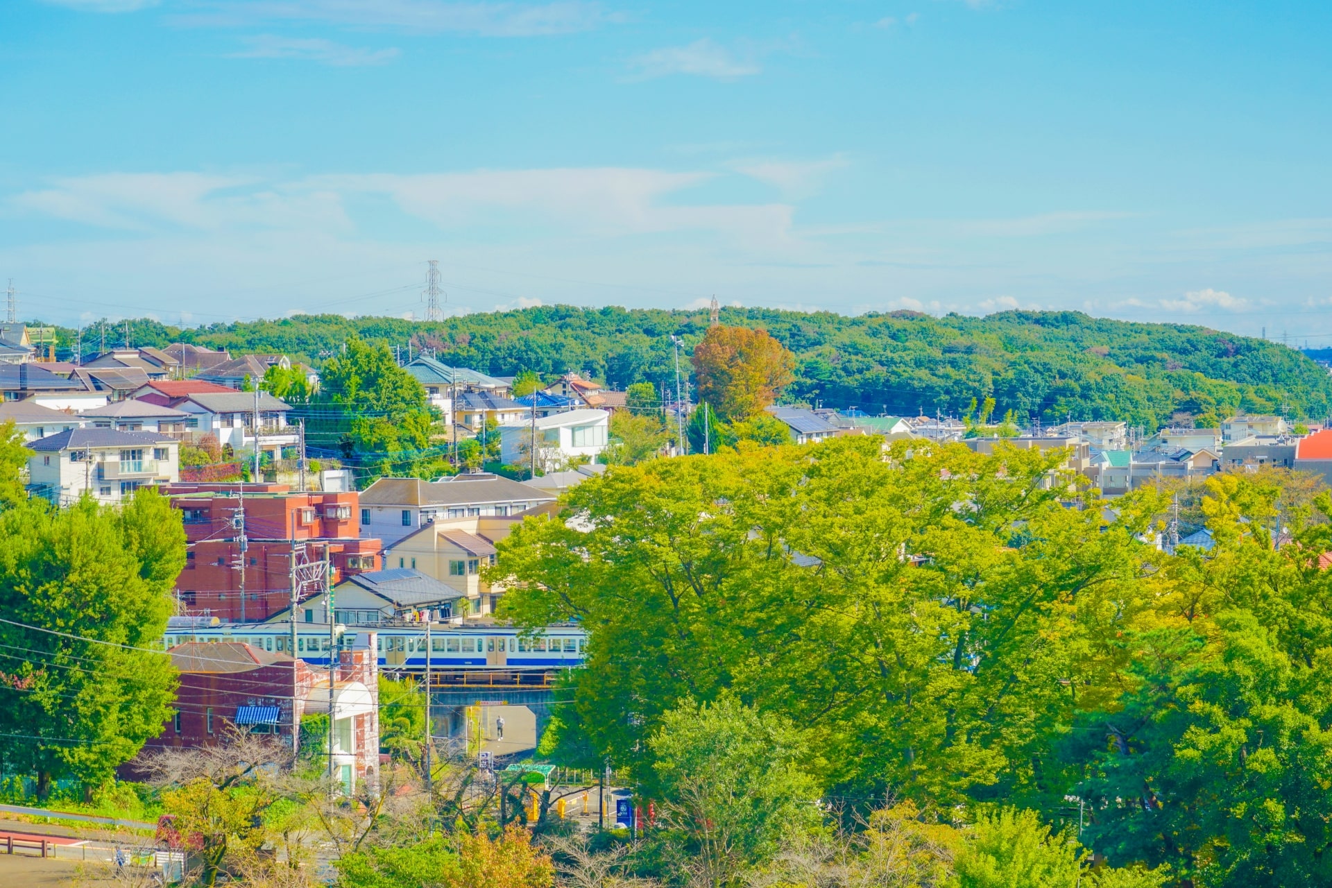 東村山市でタクシードライバーとして働くうえで知っておきたい地域の特色