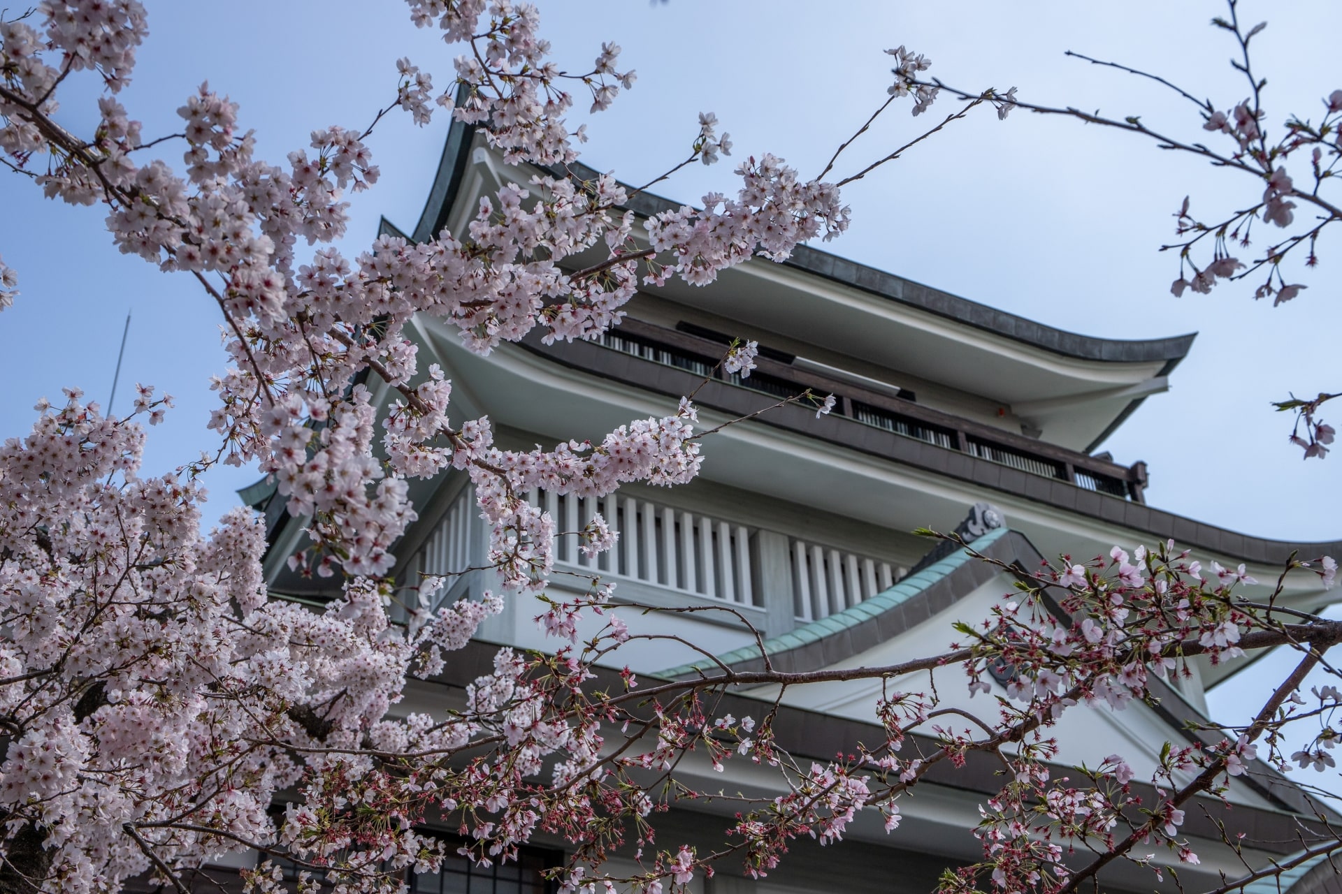 小牧市でタクシードライバーとして働くうえで知っておきたい地域の特色