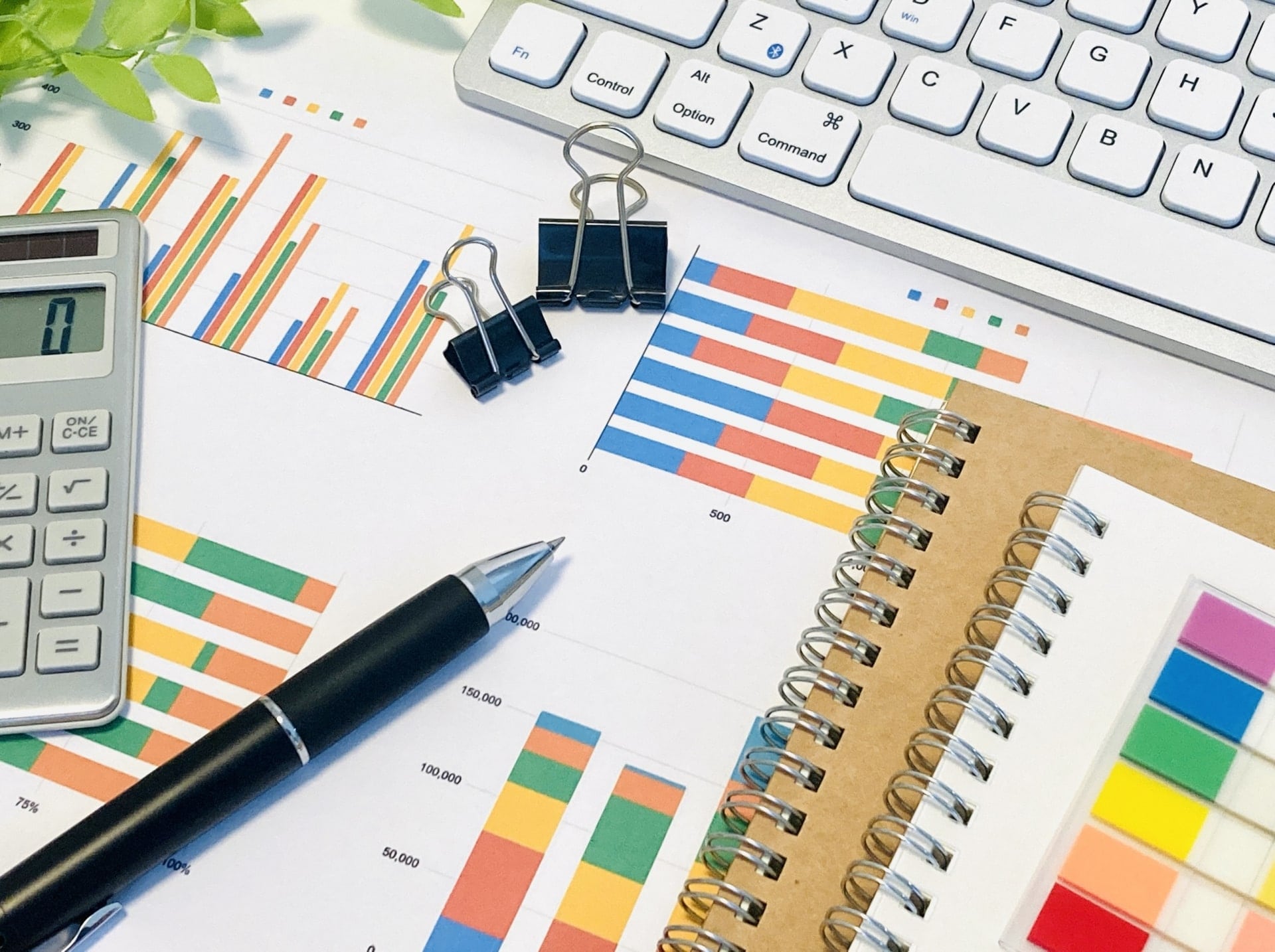 国際自動車交通株式会社の概要