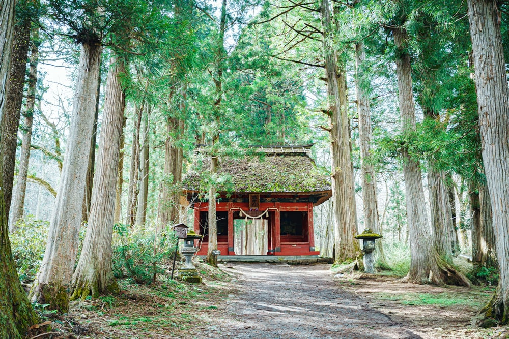 長野市でタクシードライバーとして働くうえで知っておきたい地域の特色