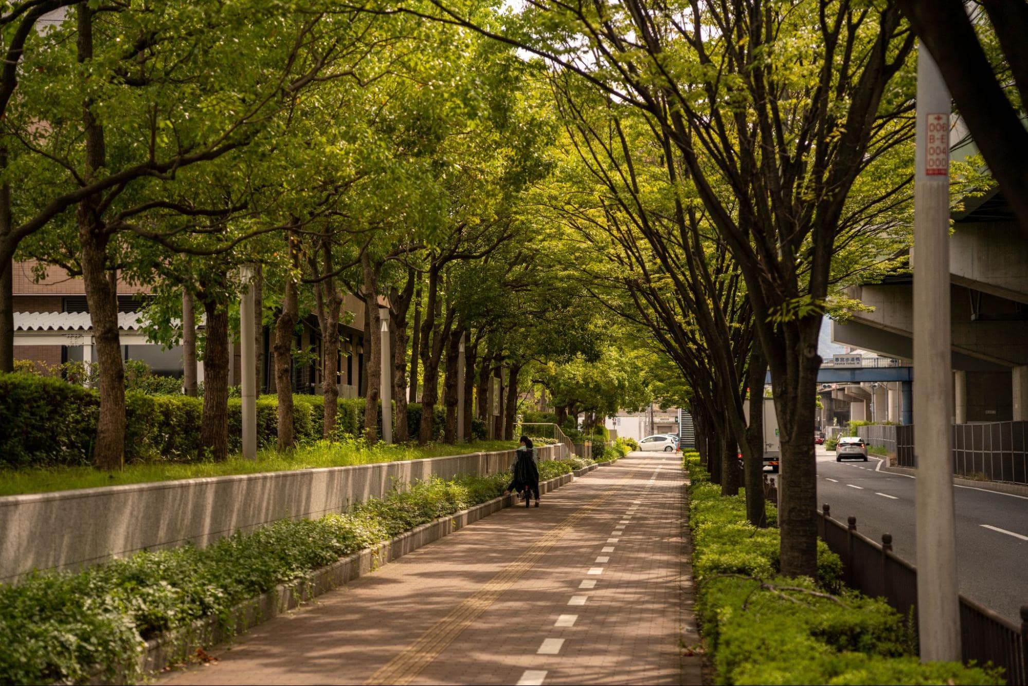 東大阪市でタクシードライバーとして働くうえで知っておきたい地域の特色